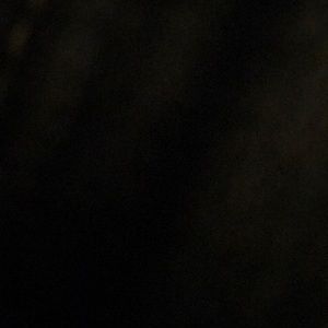 Meet your Posher, Cameron